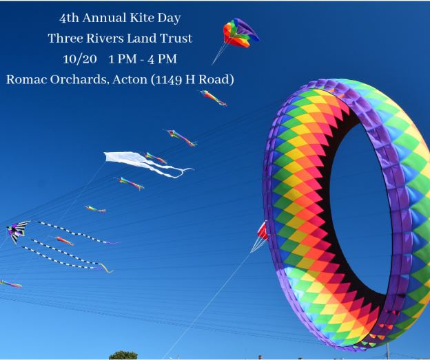 national fly a kite day